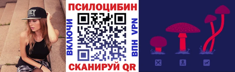 Псилоцибиновые грибы Cubensis  Купить закладки  Никольское 