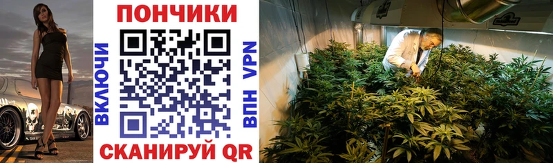 Канабис план  Купить  Никольское 